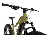 El-fatbike LEADER FOX Braga 26": Grøn