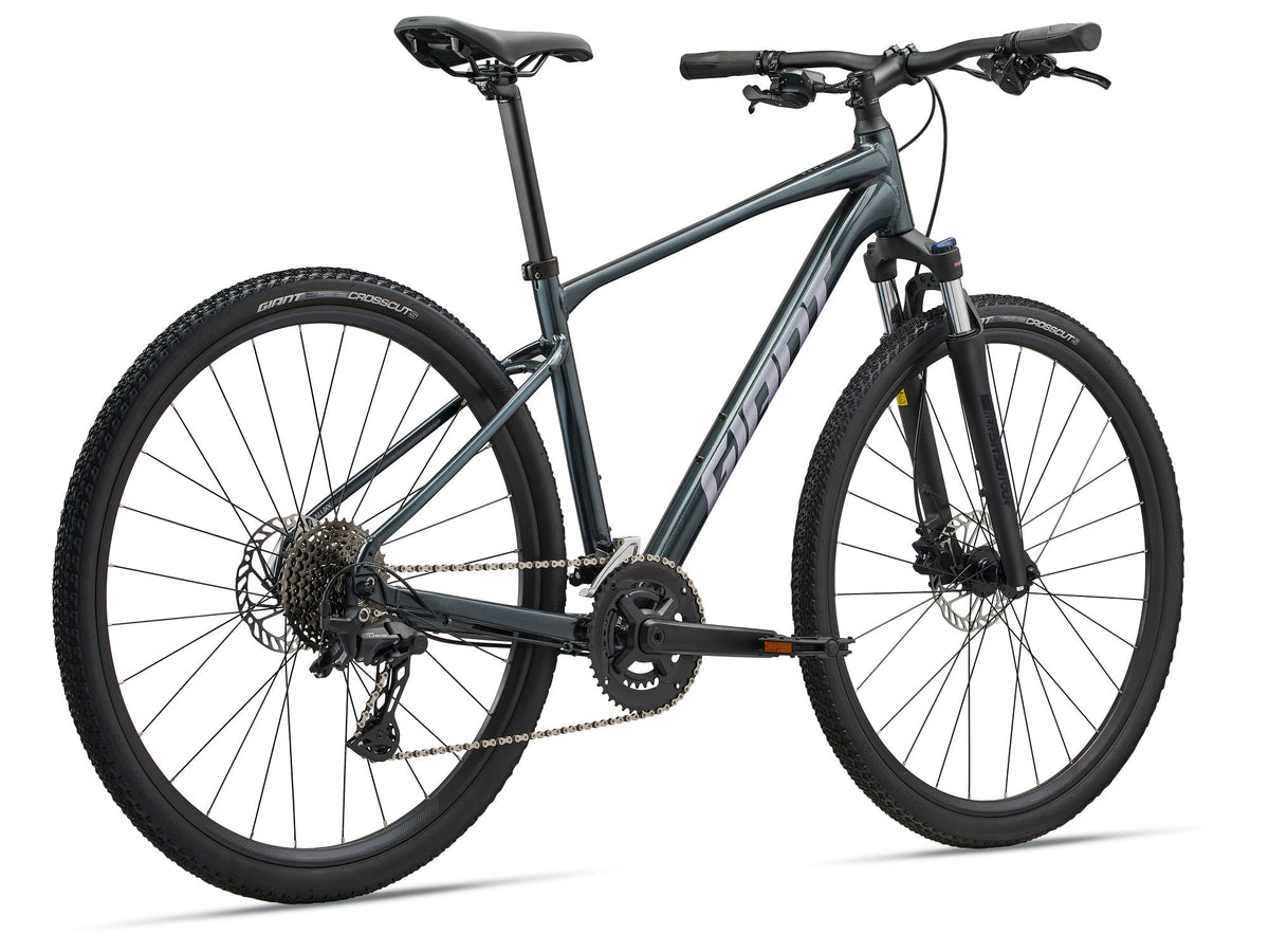 GIANT Roam 2 Bicycle, Asphalt Green