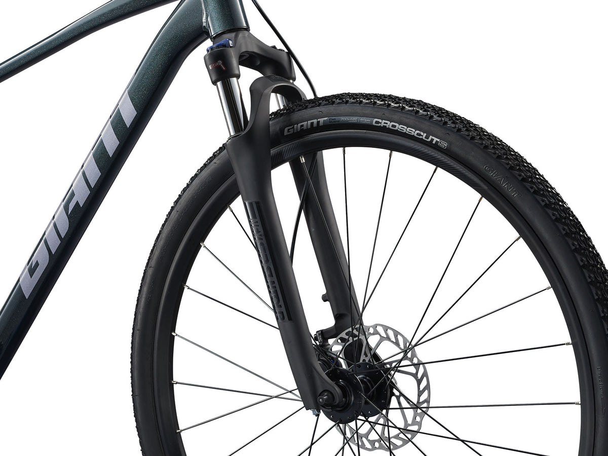 GIANT Roam 2 Bicycle, Asphalt Green
