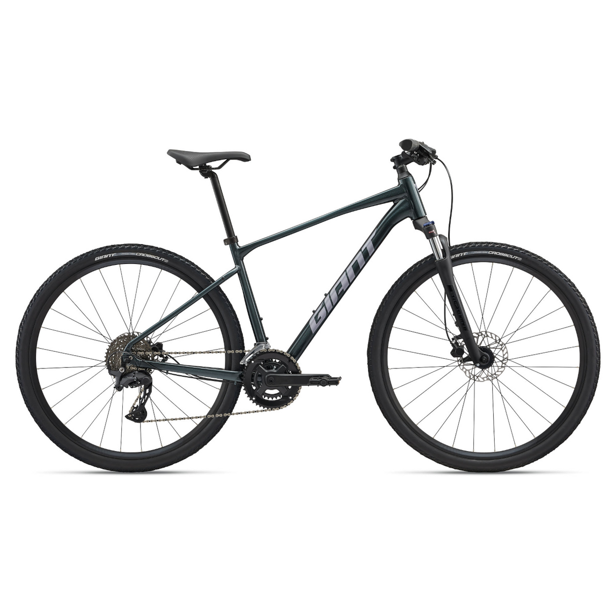GIANT Roam 2 Bicycle, Asphalt Green