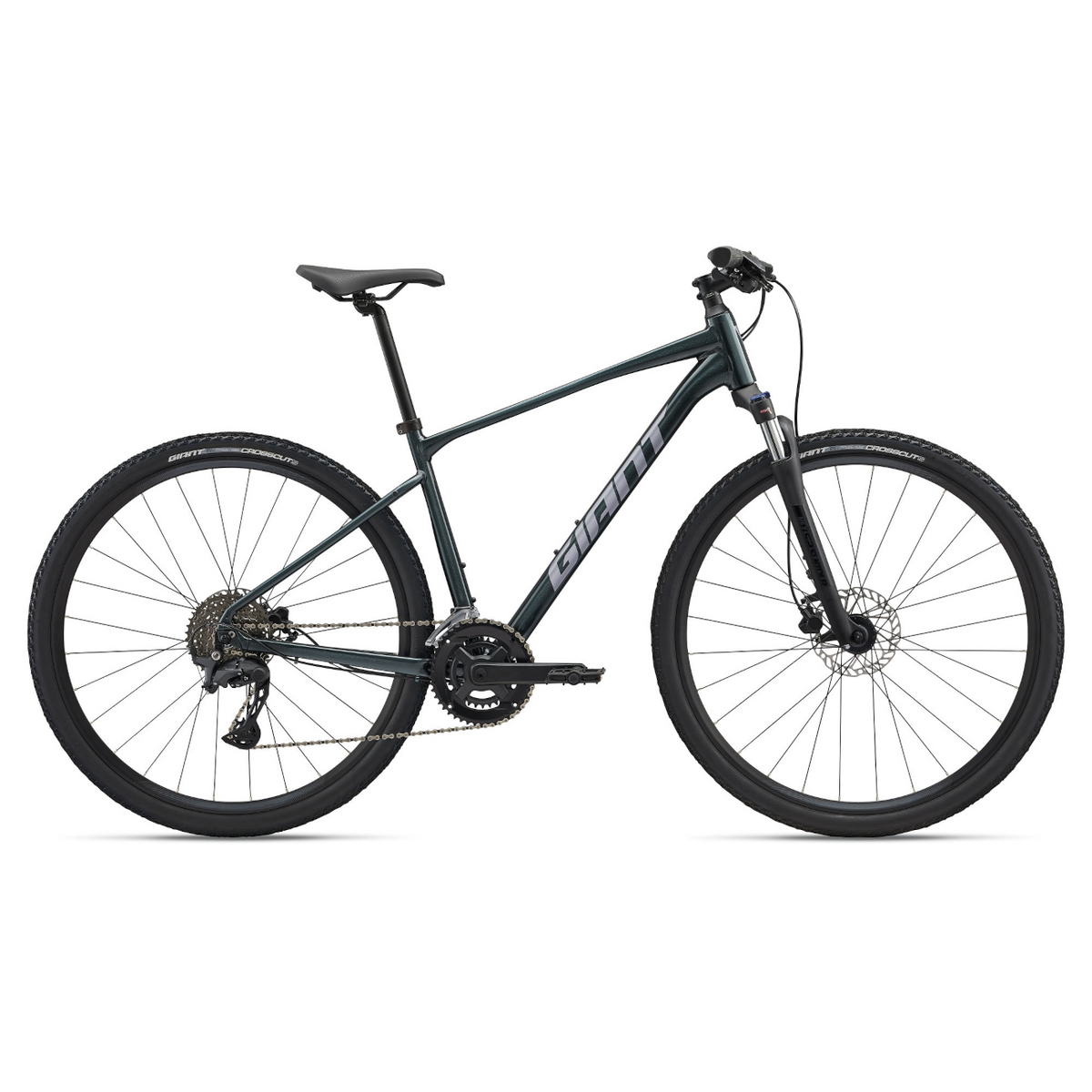 GIANT Roam 2 Bicycle, Asphalt Green