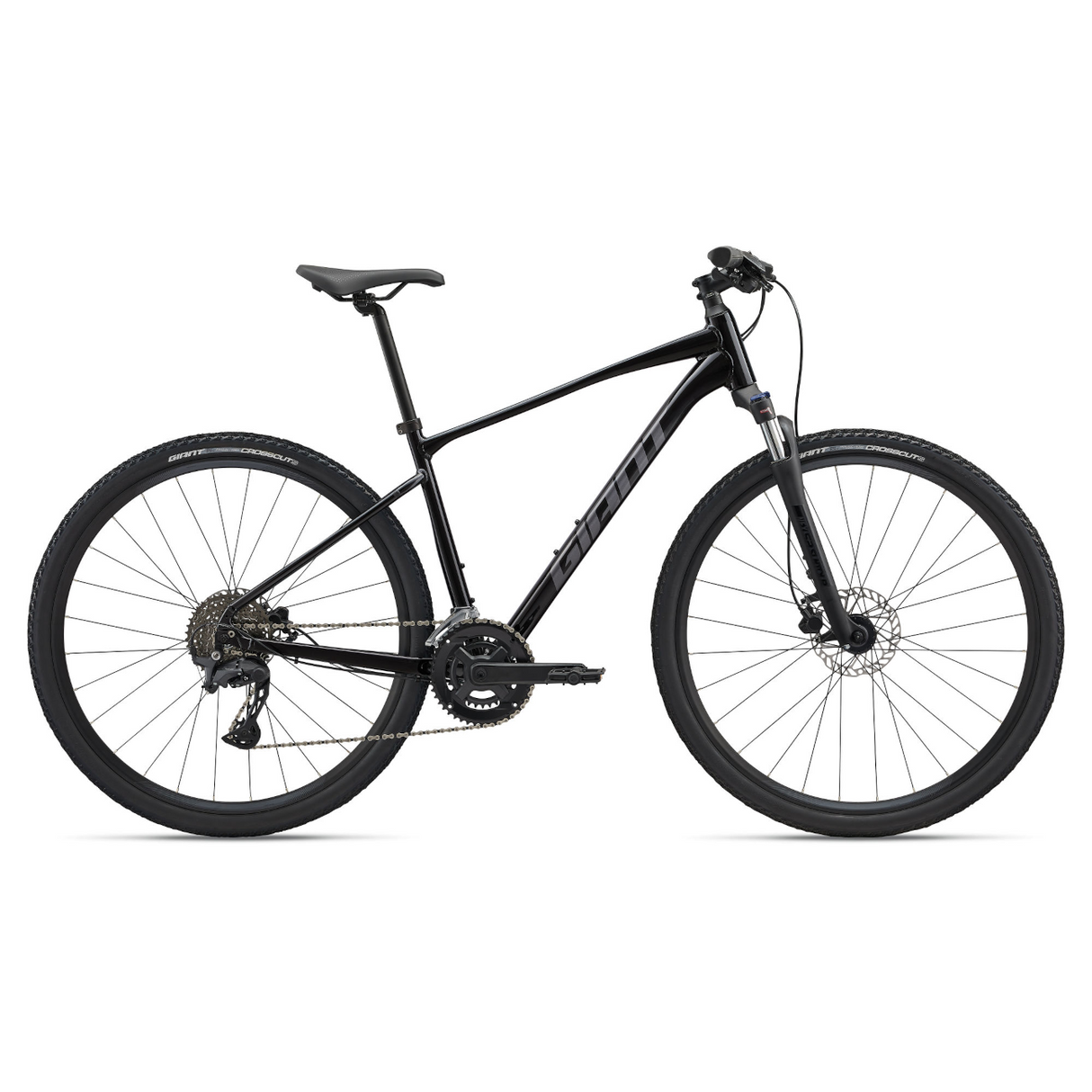 GIANT Roam 2 Bicycle, Black