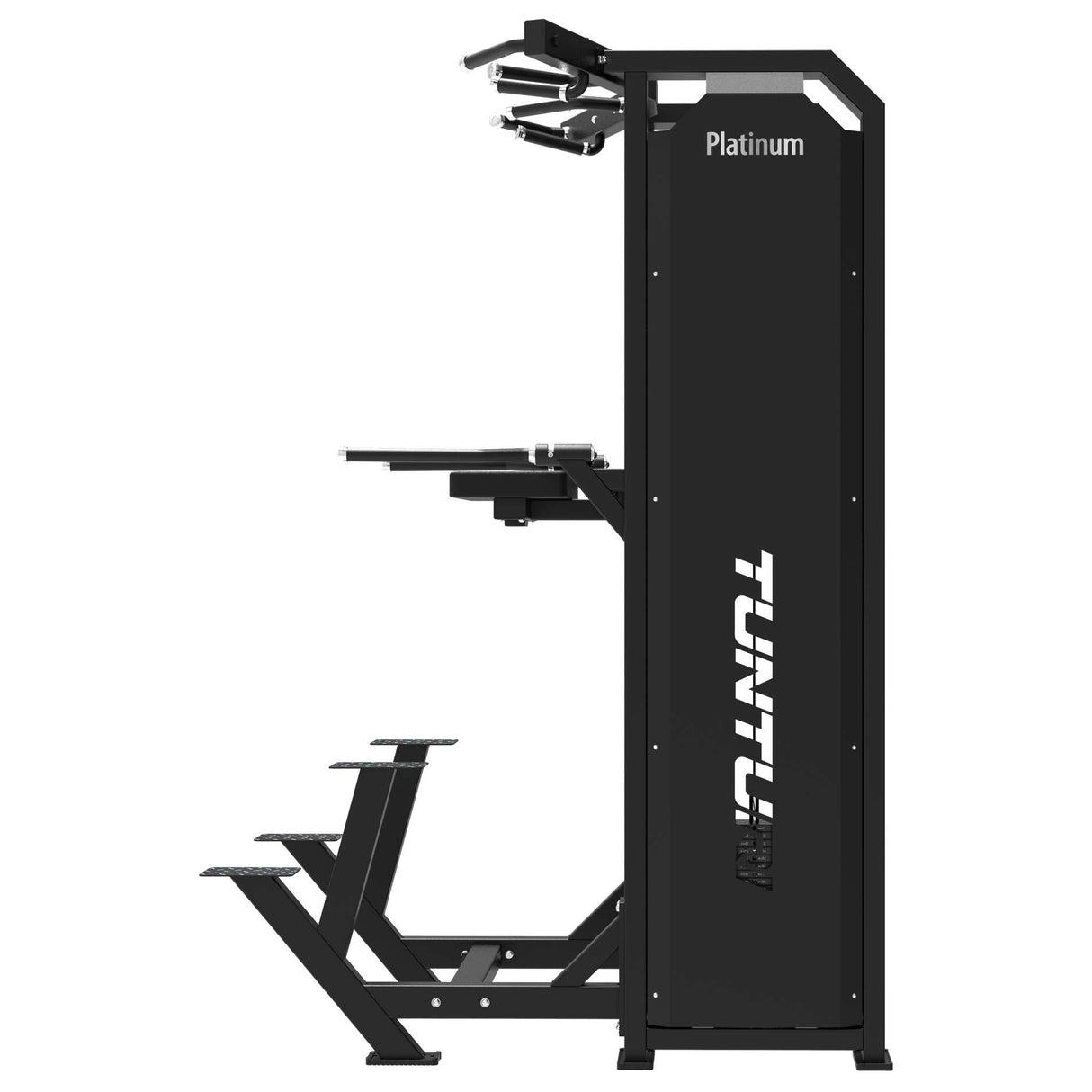 TUNTURI Platinum - Dual Assisted Chin Up/Dip - Selectorized V-Series