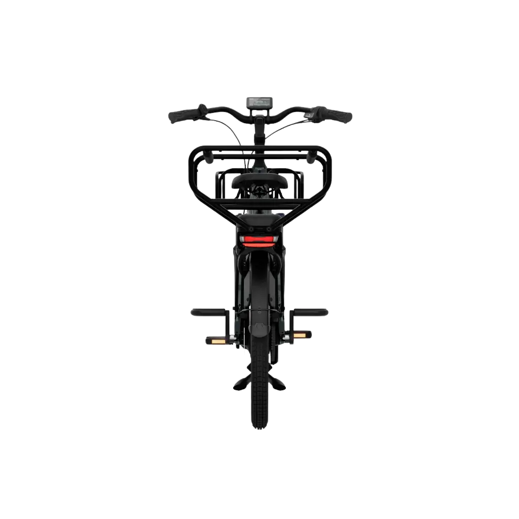 El-ladcykel TENWAYS Longtail DUO