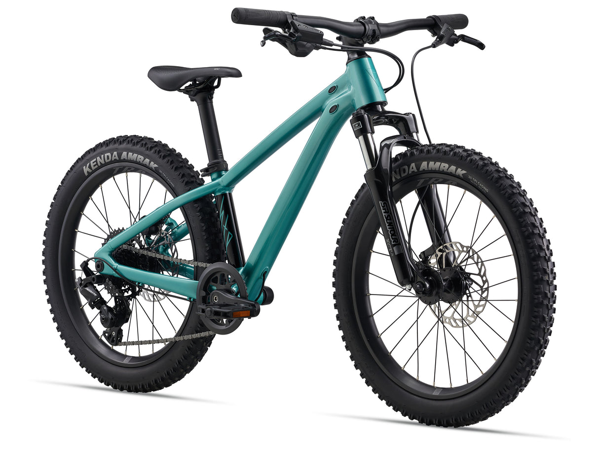 Barncykel GIANT STP 20 FS, Teal