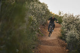 Mountain bike GIANT Reign 2, 29" Black/Pyrite Brown