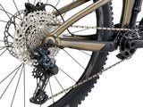Mountain bike GIANT Reign 2, 29" Black/Pyrite Brown