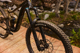Mountain bike GIANT Reign 2, 29" Black/Pyrite Brown