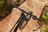 Mountain bike GIANT Reign 2, 29" Black/Pyrite Brown