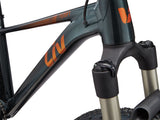 Women's bike LIV Tempt 0, 29" Asphalt Green