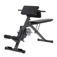 Träningsbänk FINNLO by Hammer Ab&Back Trainer
